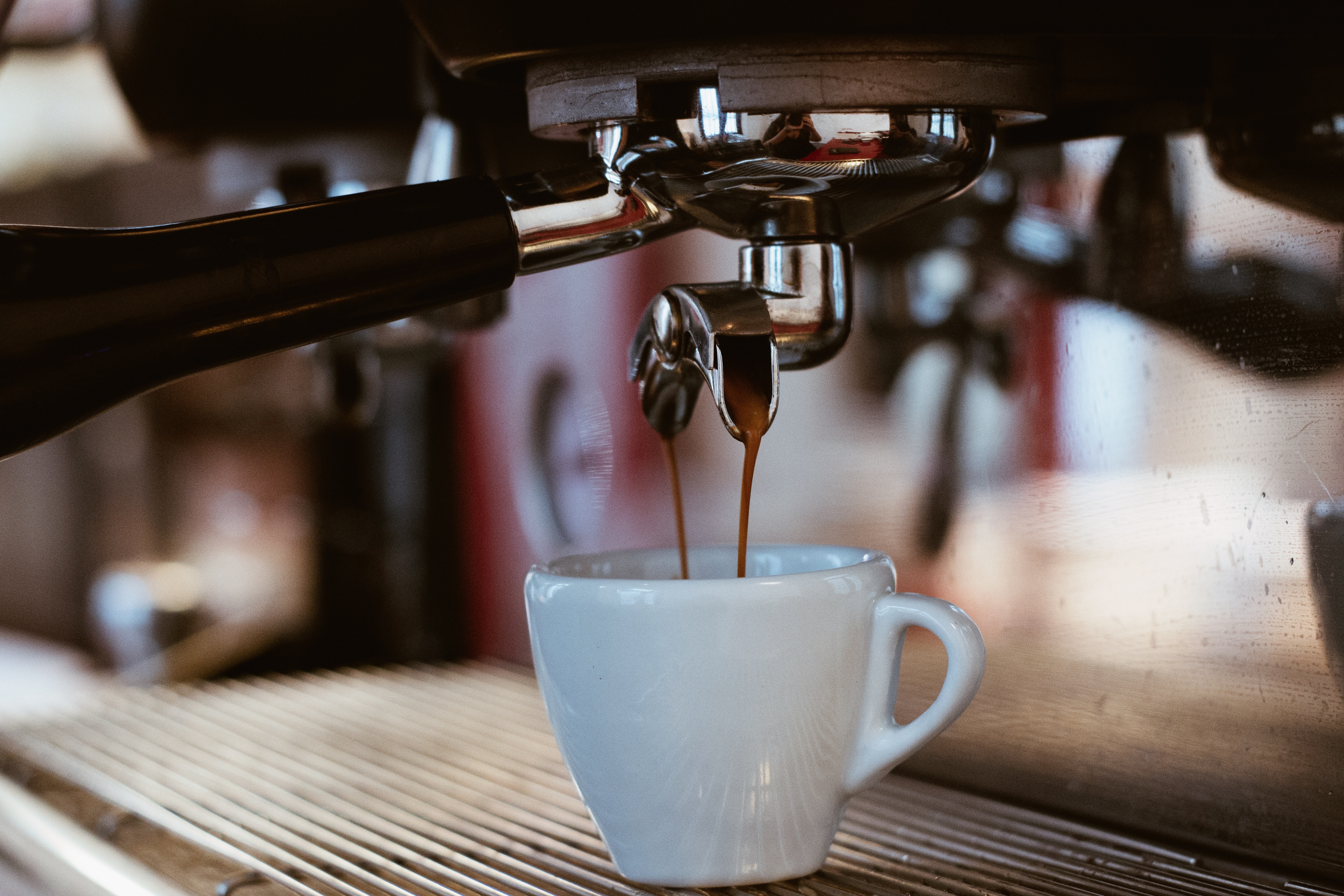How to Clean Ninja Coffee Bar – Easy Steps